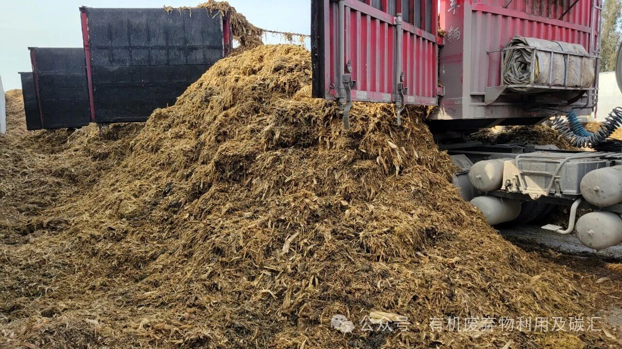 1763345673501721 2d284dbaae70ca58058fc669b0c6788e.jpg
