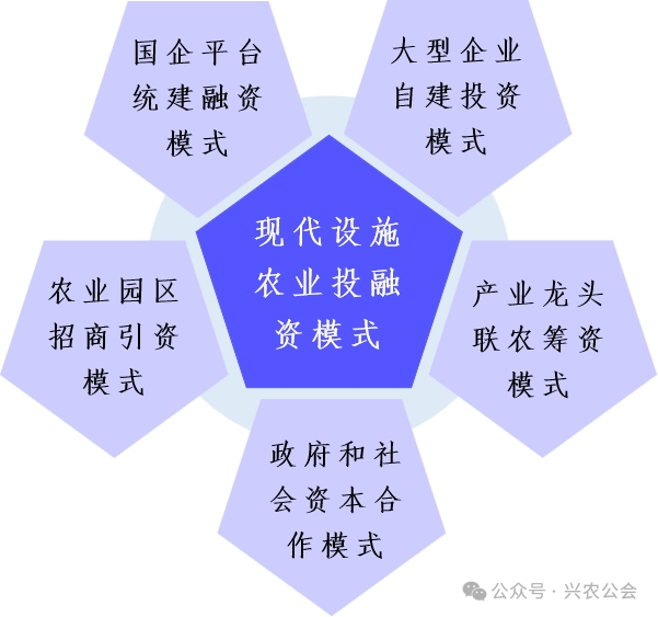 1764671306196136 fd3b6c98ff472d8723c62b3df7c07488.png